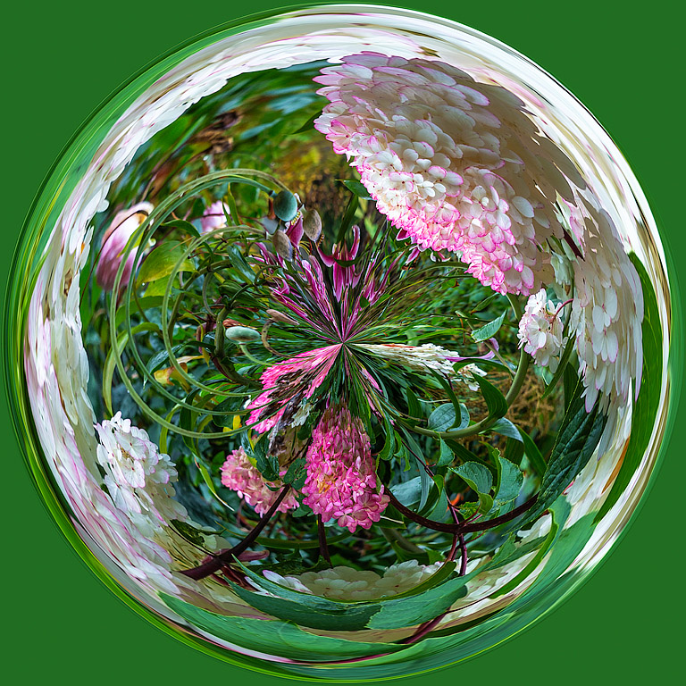 Digital Artistry In Class R By Stan Murawski For Flower Swirl MAR-2020.jpg